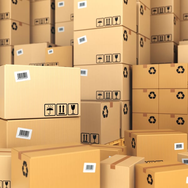 2024 Forecast: Leading Biodegradable and Sustainable Packaging Solutions