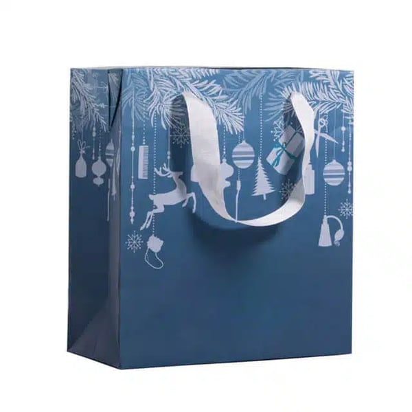 Custom Box Style Paper Bags with Ribbon Handles