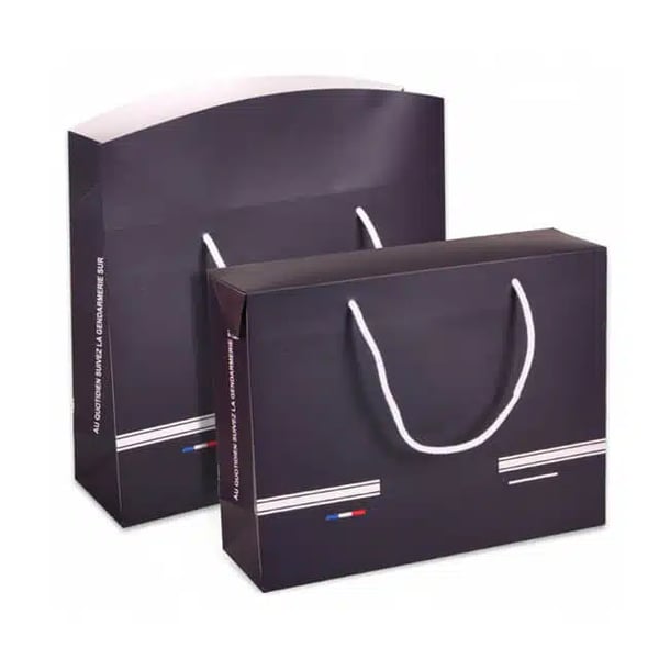 Custom Box Style Paper Bags with Rope Handles