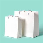 two blank custom reusable gift paper bags