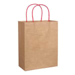 the front of the custom kraft paper bag with twisted paper handle