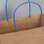 the handle detail of the custom kraft paper bag with twisted paper handle